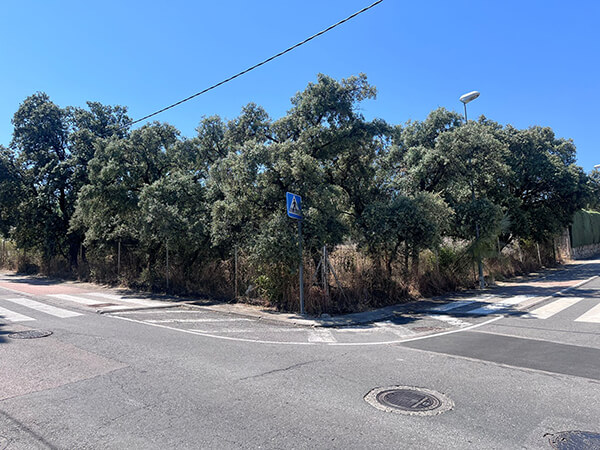 terreno en Las Rozas