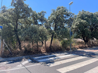 parcelas en Las Rozas