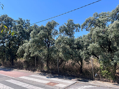 parcelas en Las Rozas